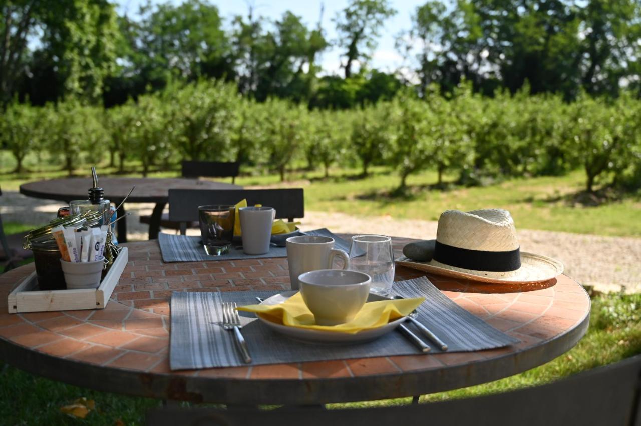 Mas De Capelou Bed & Breakfast Avignon Luaran gambar