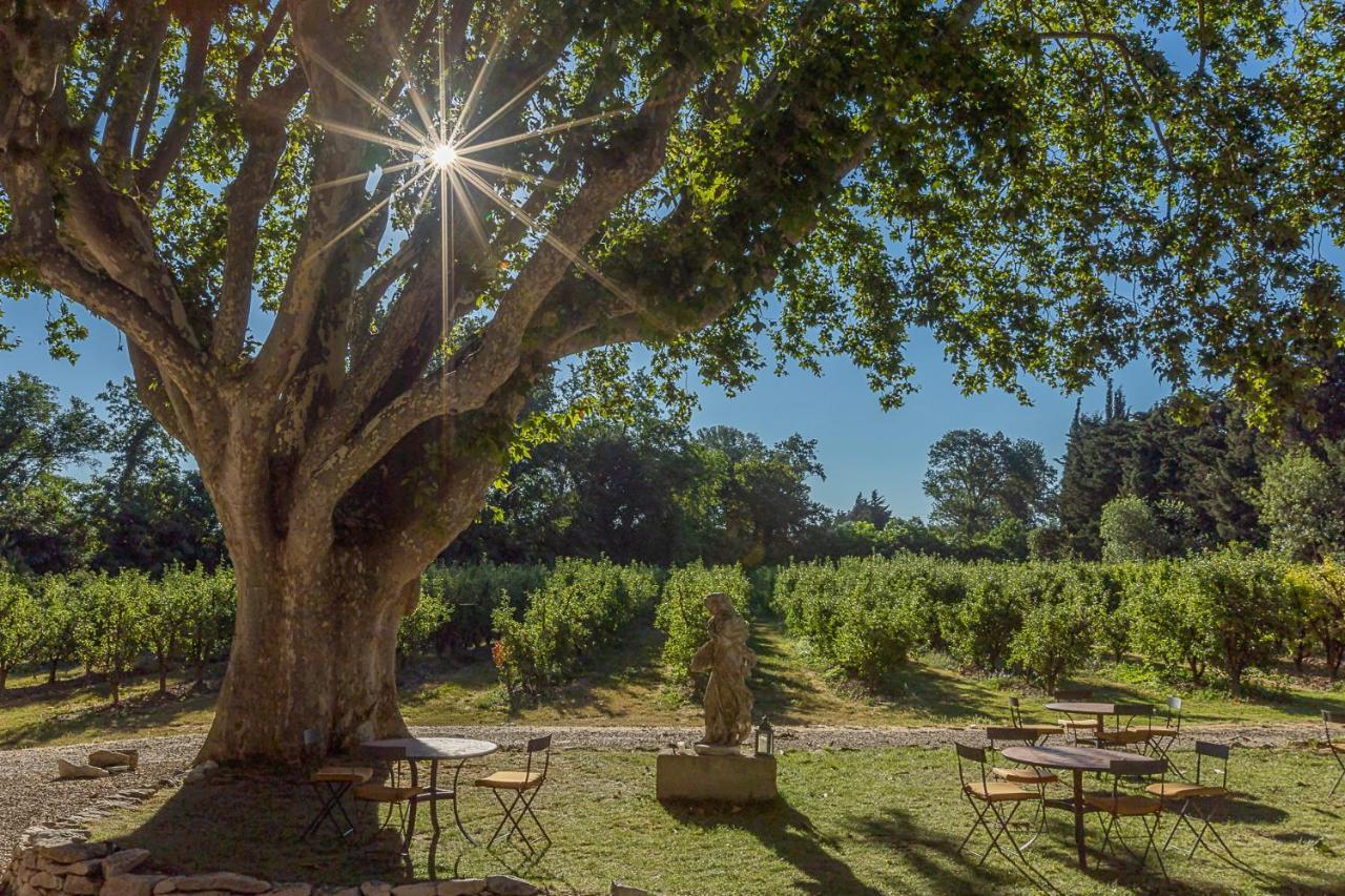 Mas De Capelou Bed & Breakfast Avignon Luaran gambar